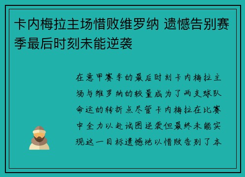 卡内梅拉主场惜败维罗纳 遗憾告别赛季最后时刻未能逆袭