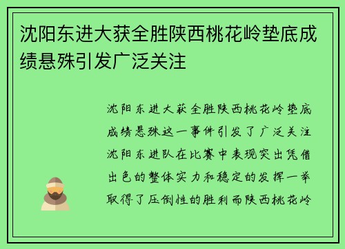 沈阳东进大获全胜陕西桃花岭垫底成绩悬殊引发广泛关注