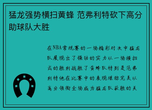 猛龙强势横扫黄蜂 范弗利特砍下高分助球队大胜