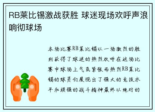 RB莱比锡激战获胜 球迷现场欢呼声浪响彻球场